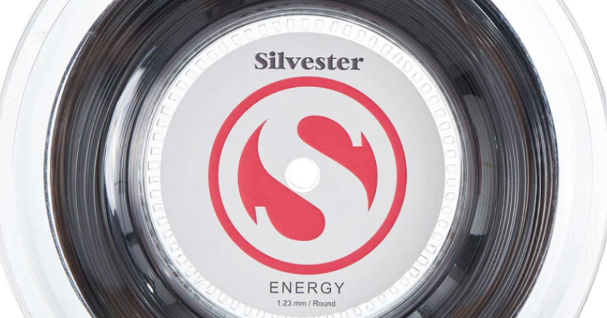 Silvester Energy Review